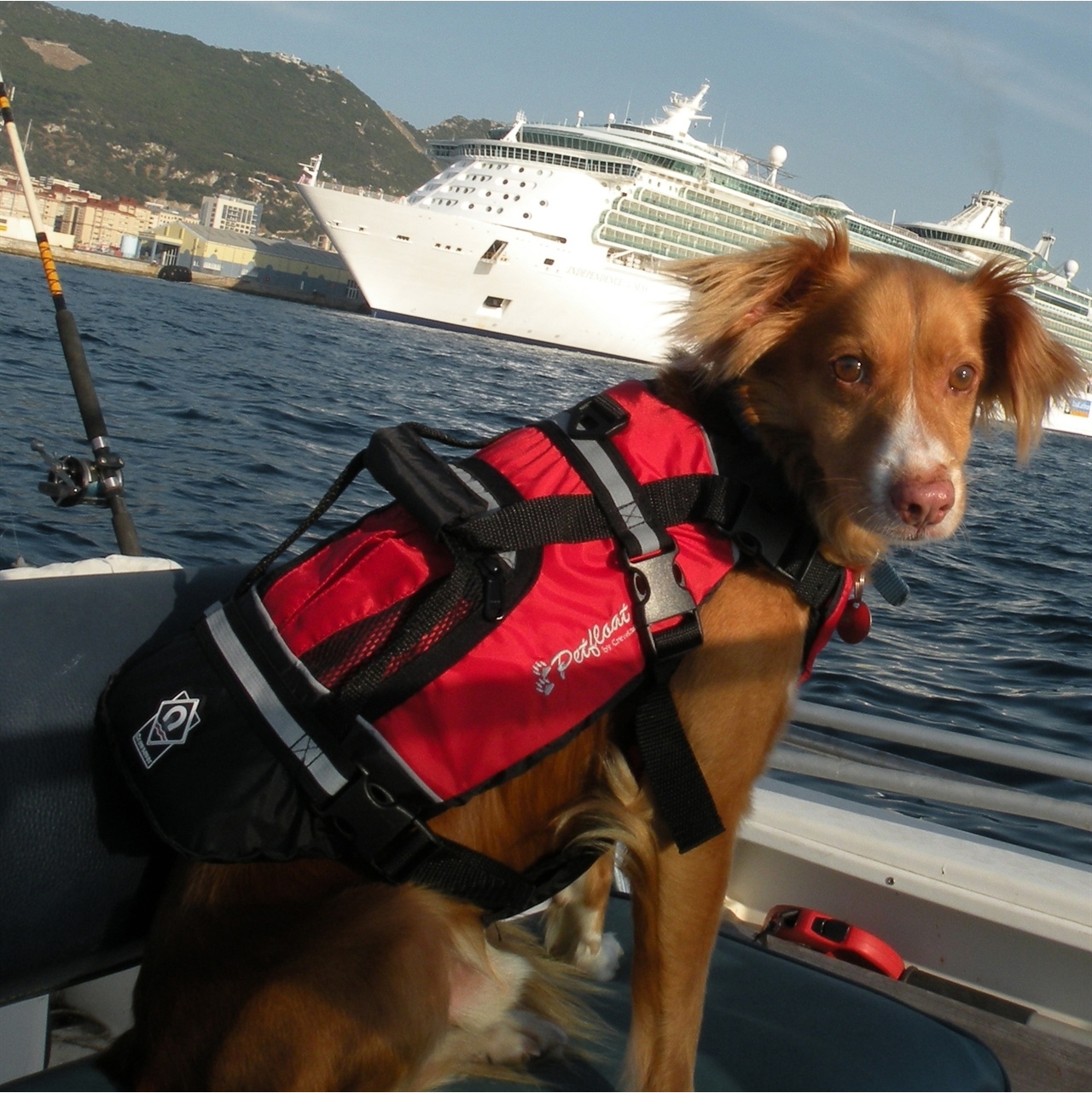 2026 Crewsaver Pet Flotteur Gilet De Sauvetage Pour Chiens Et Chats 2370 - Red