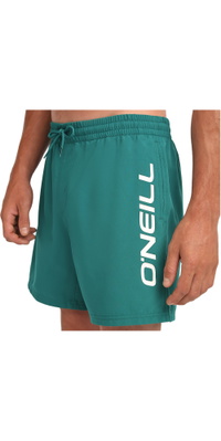 2026 ONeill Hommes ONeill Short De Bain Logo 16 2800256 - Botanical Heat