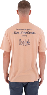 2026 Hurley Hommes Presse à Imprimer Biriri T-Shirt MTSEUED0002619 - Beach Clay