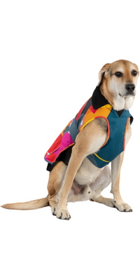 2026 Dryrobe Mante Pour Chien V3DRDC - Abstract